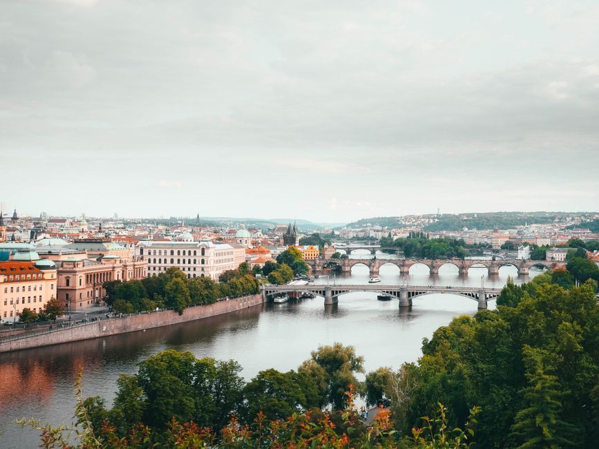 Reading reviews properly in Prague
