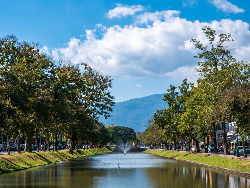 Why local booking wins here in Chiang Mai