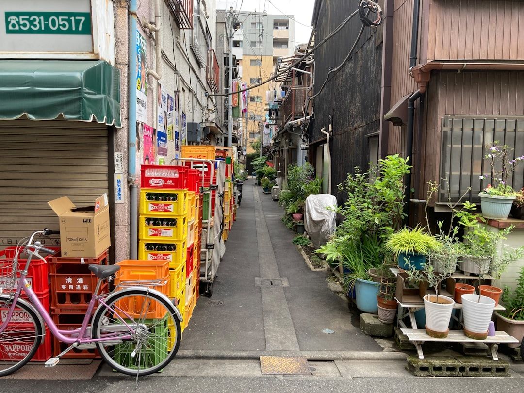 How to book when the site is in Japanese in Tokyo