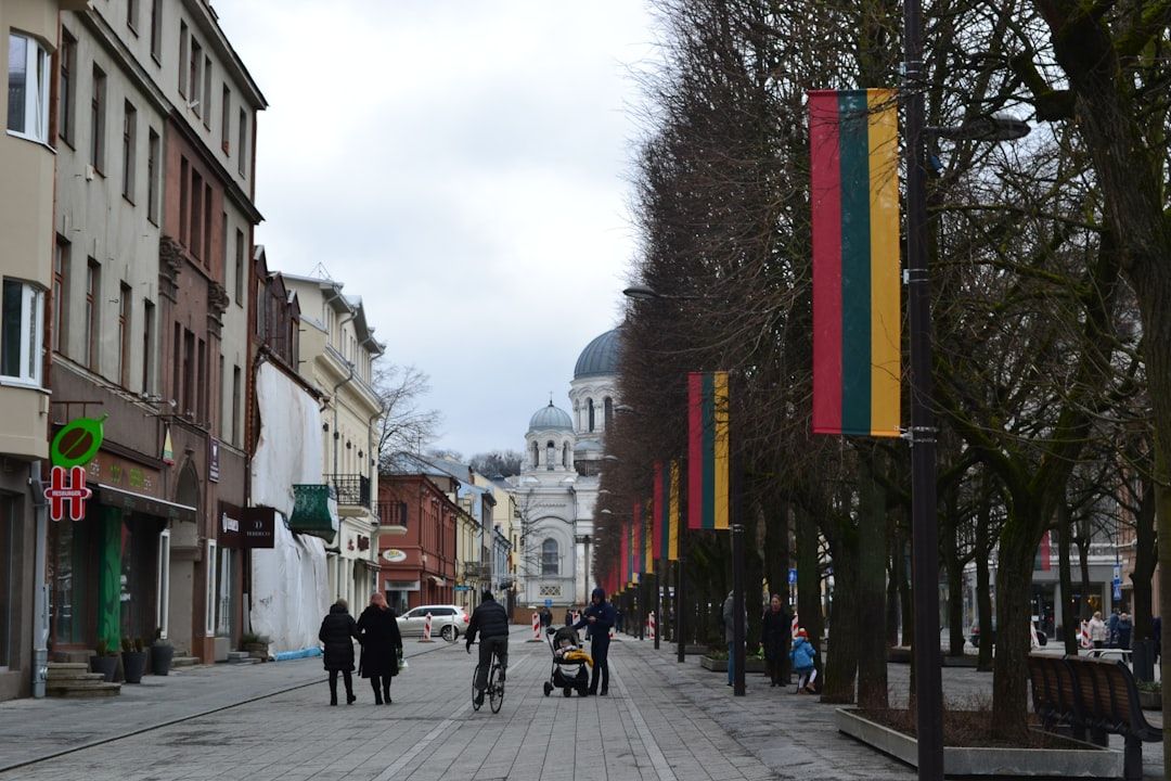 Lithuania street market local life